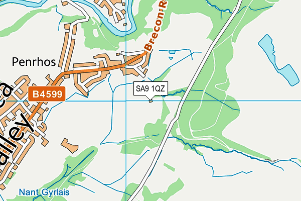 SA9 1QZ map - OS VectorMap District (Ordnance Survey)