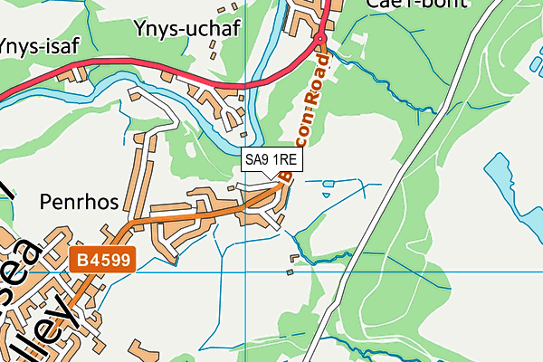 SA9 1RE map - OS VectorMap District (Ordnance Survey)