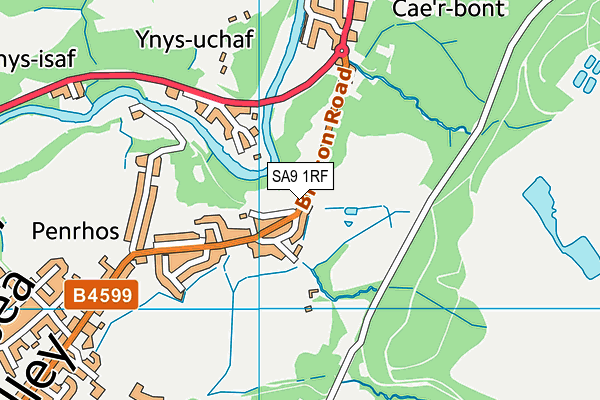 SA9 1RF map - OS VectorMap District (Ordnance Survey)