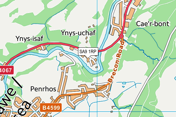 SA9 1RP map - OS VectorMap District (Ordnance Survey)