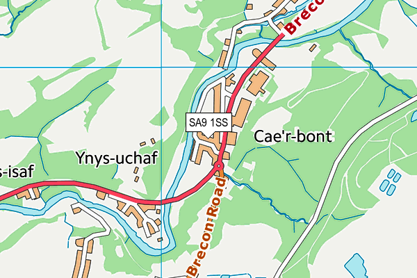 SA9 1SS map - OS VectorMap District (Ordnance Survey)