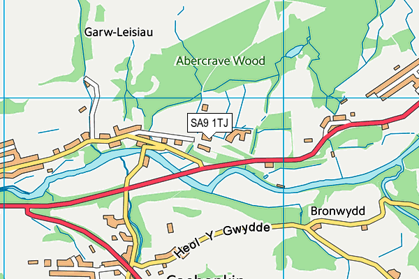 SA9 1TJ map - OS VectorMap District (Ordnance Survey)