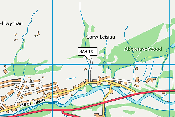 SA9 1XT map - OS VectorMap District (Ordnance Survey)