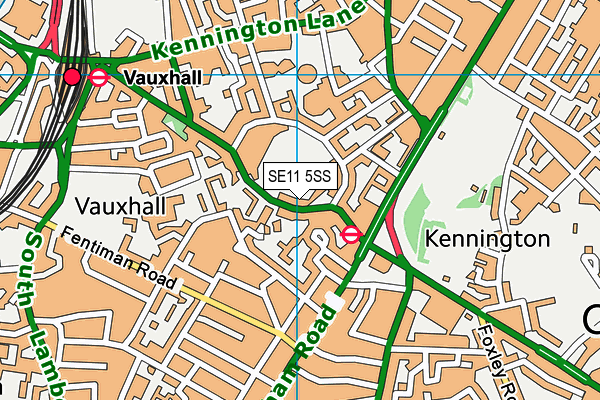 The Kia Oval map (SE11 5SS) - OS VectorMap District (Ordnance Survey)