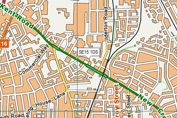 SE15 1DS map - OS VectorMap District (Ordnance Survey)