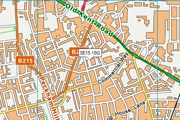 SE15 1SG map - OS VectorMap District (Ordnance Survey)