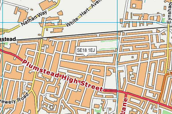 SE18 1EJ map - OS VectorMap District (Ordnance Survey)