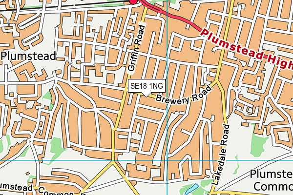 SE18 1NG map - OS VectorMap District (Ordnance Survey)