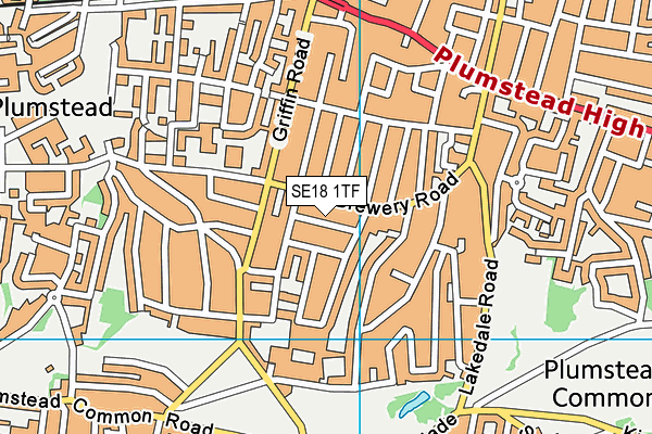 SE18 1TF map - OS VectorMap District (Ordnance Survey)