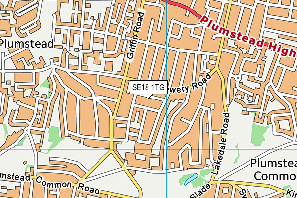 SE18 1TG map - OS VectorMap District (Ordnance Survey)
