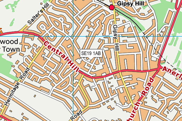 SE19 1AB map - OS VectorMap District (Ordnance Survey)