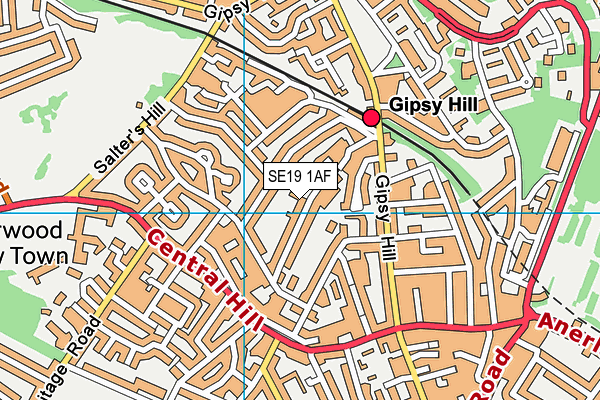 SE19 1AF map - OS VectorMap District (Ordnance Survey)