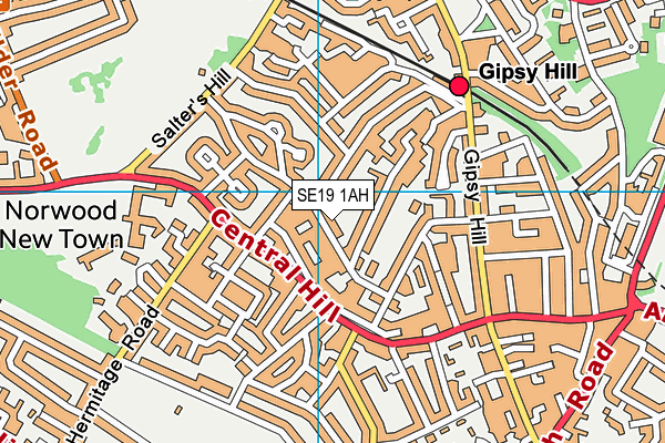 SE19 1AH map - OS VectorMap District (Ordnance Survey)