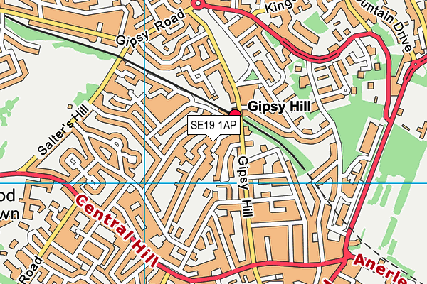 SE19 1AP map - OS VectorMap District (Ordnance Survey)