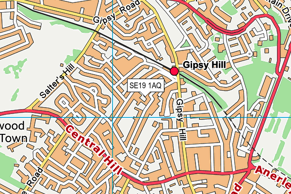 SE19 1AQ map - OS VectorMap District (Ordnance Survey)