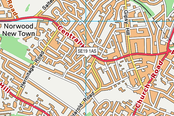 SE19 1AS map - OS VectorMap District (Ordnance Survey)