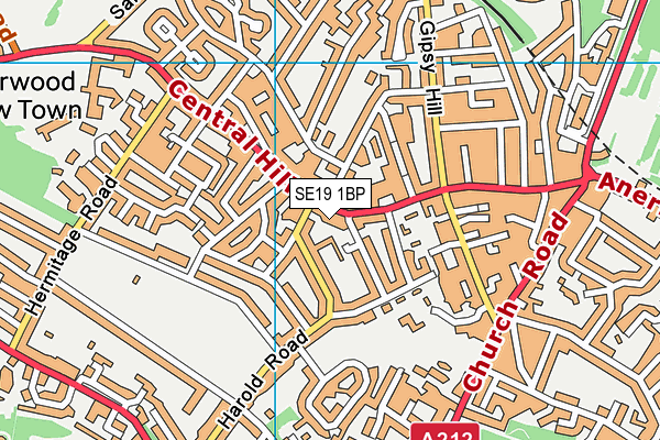 SE19 1BP map - OS VectorMap District (Ordnance Survey)