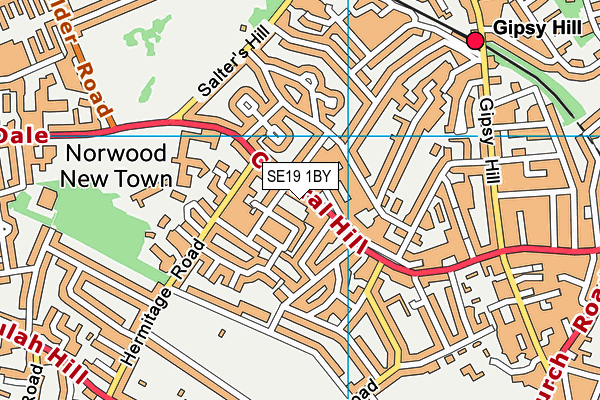 SE19 1BY map - OS VectorMap District (Ordnance Survey)