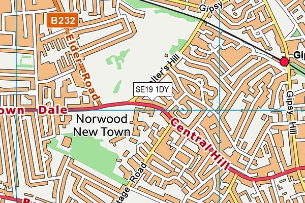 SE19 1DY map - OS VectorMap District (Ordnance Survey)