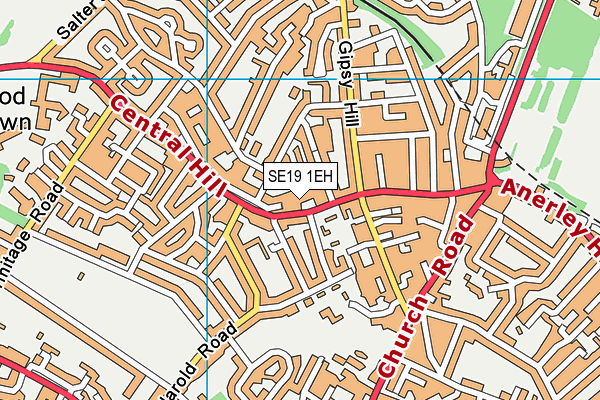 SE19 1EH map - OS VectorMap District (Ordnance Survey)