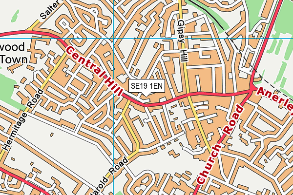 SE19 1EN map - OS VectorMap District (Ordnance Survey)
