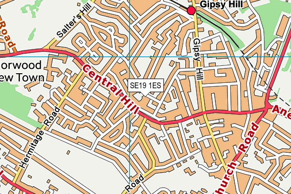 SE19 1ES map - OS VectorMap District (Ordnance Survey)