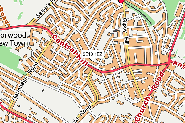 SE19 1EZ map - OS VectorMap District (Ordnance Survey)