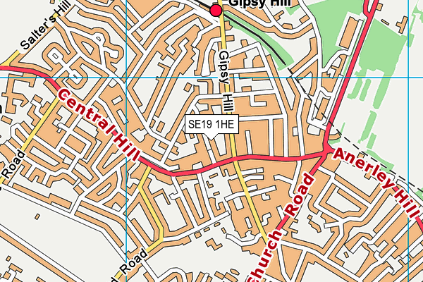 SE19 1HE map - OS VectorMap District (Ordnance Survey)