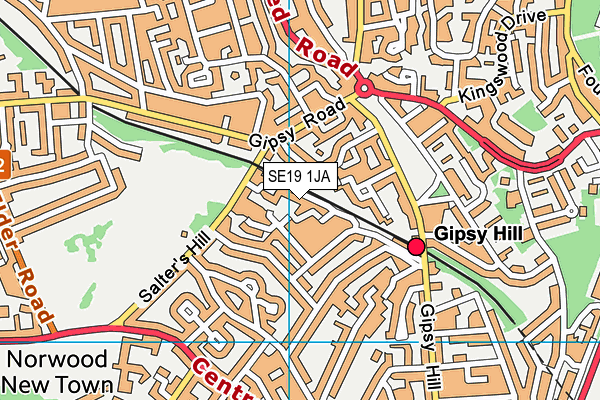 SE19 1JA map - OS VectorMap District (Ordnance Survey)