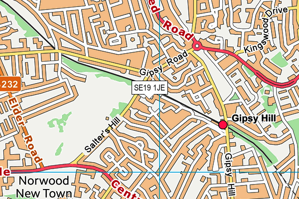 SE19 1JE map - OS VectorMap District (Ordnance Survey)