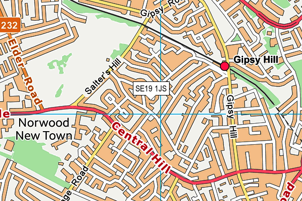 SE19 1JS map - OS VectorMap District (Ordnance Survey)