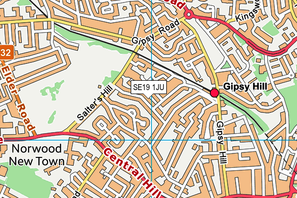 SE19 1JU map - OS VectorMap District (Ordnance Survey)