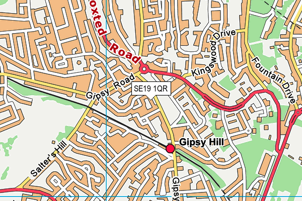 SE19 1QR map - OS VectorMap District (Ordnance Survey)