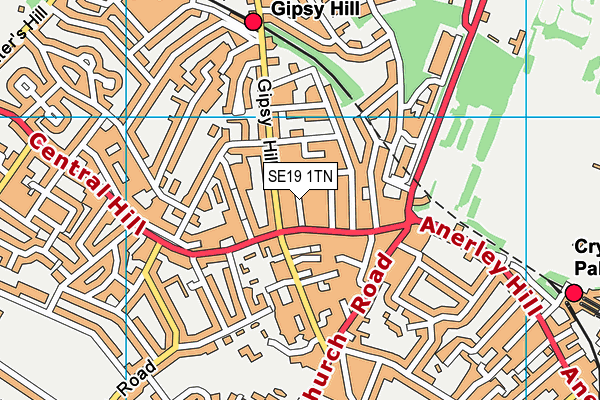 SE19 1TN map - OS VectorMap District (Ordnance Survey)