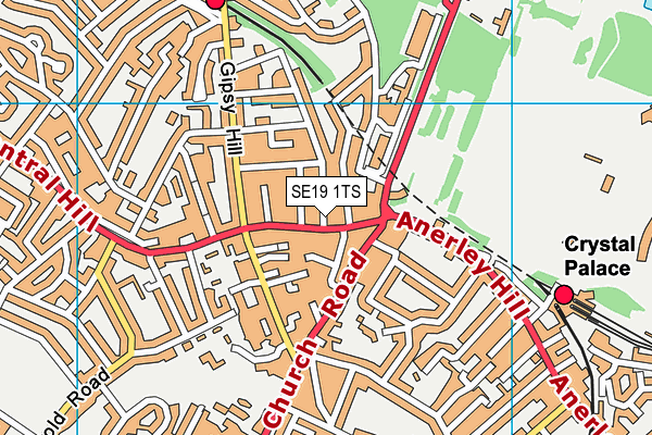 SE19 1TS map - OS VectorMap District (Ordnance Survey)