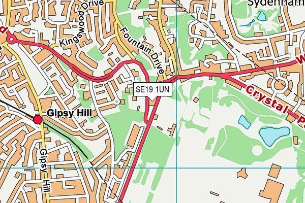 SE19 1UN map - OS VectorMap District (Ordnance Survey)