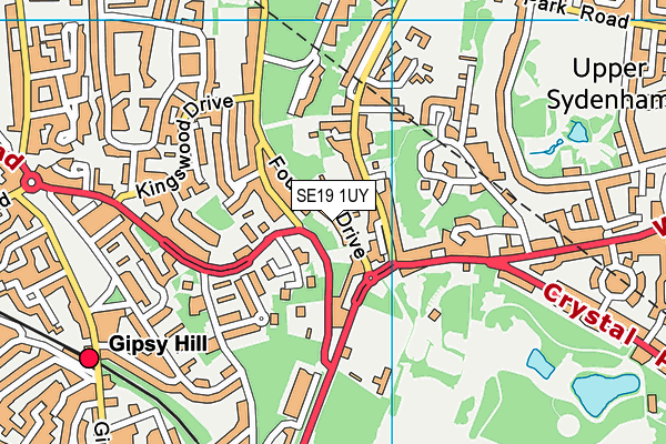 SE19 1UY map - OS VectorMap District (Ordnance Survey)