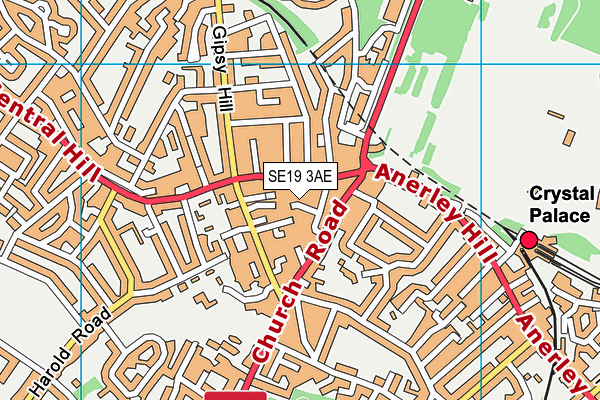 SE19 3AE map - OS VectorMap District (Ordnance Survey)