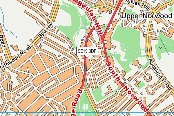 SE19 3DF map - OS VectorMap District (Ordnance Survey)