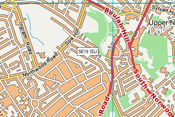 SE19 3DJ map - OS VectorMap District (Ordnance Survey)