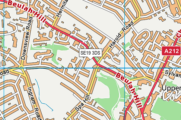 SE19 3DS map - OS VectorMap District (Ordnance Survey)