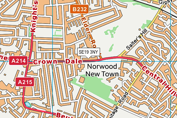 Norwood School map (SE19 3NY) - OS VectorMap District (Ordnance Survey)