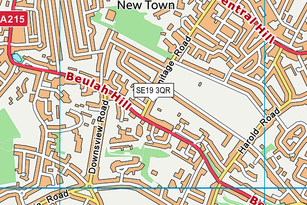 SE19 3QR map - OS VectorMap District (Ordnance Survey)