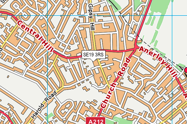 SE19 3RS map - OS VectorMap District (Ordnance Survey)