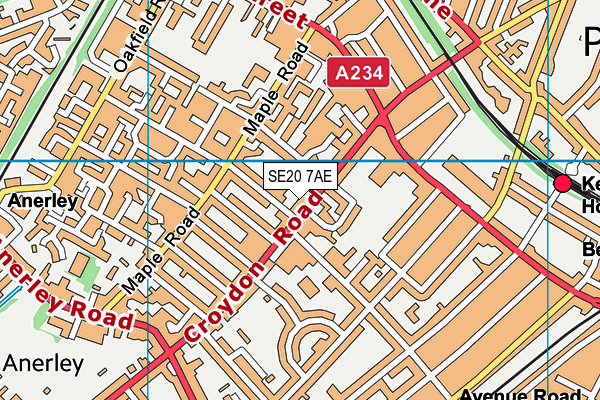 SE20 7AE map - OS VectorMap District (Ordnance Survey)