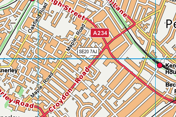 SE20 7AJ map - OS VectorMap District (Ordnance Survey)