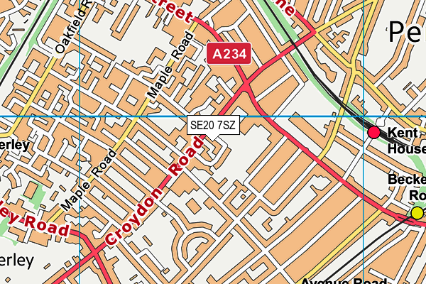 SE20 7SZ map - OS VectorMap District (Ordnance Survey)