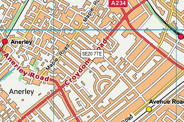 SE20 7TE map - OS VectorMap District (Ordnance Survey)