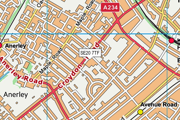 SE20 7TF map - OS VectorMap District (Ordnance Survey)