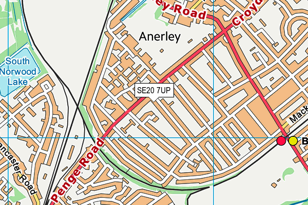 SE20 7UP map - OS VectorMap District (Ordnance Survey)